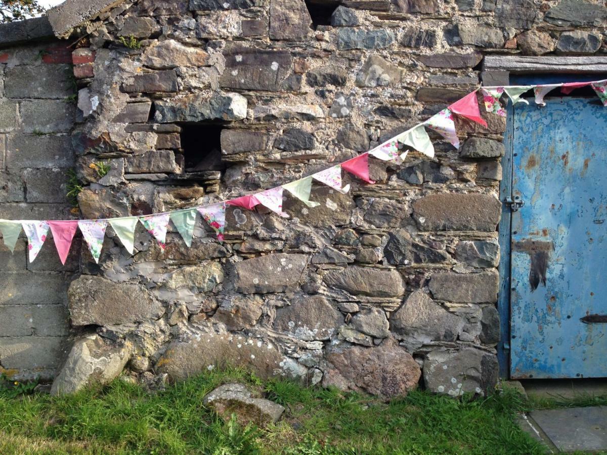 Llety Farm Bed and Breakfast St. Davids  Buitenkant foto