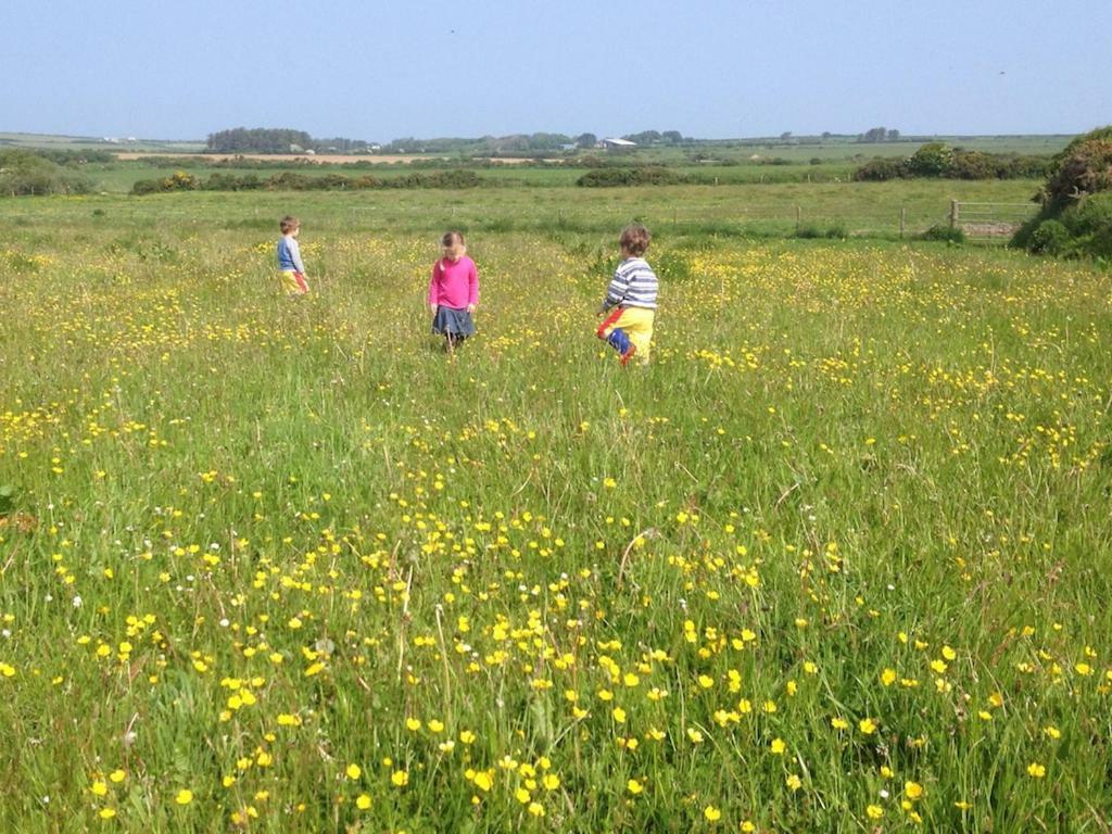 Llety Farm Bed and Breakfast St. Davids  Buitenkant foto