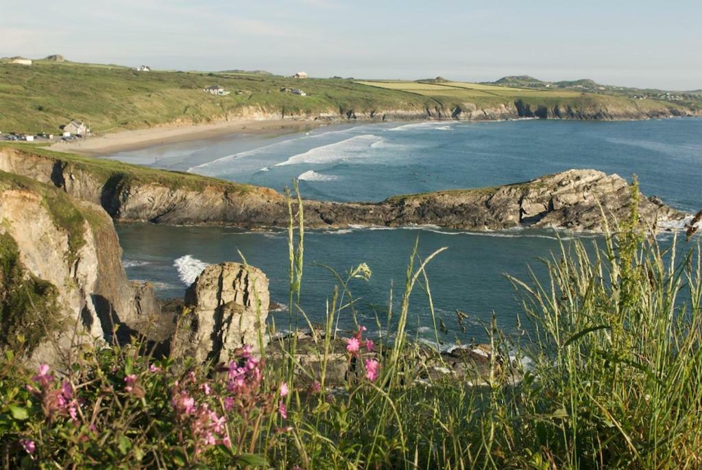 Llety Farm Bed and Breakfast St. Davids  Buitenkant foto