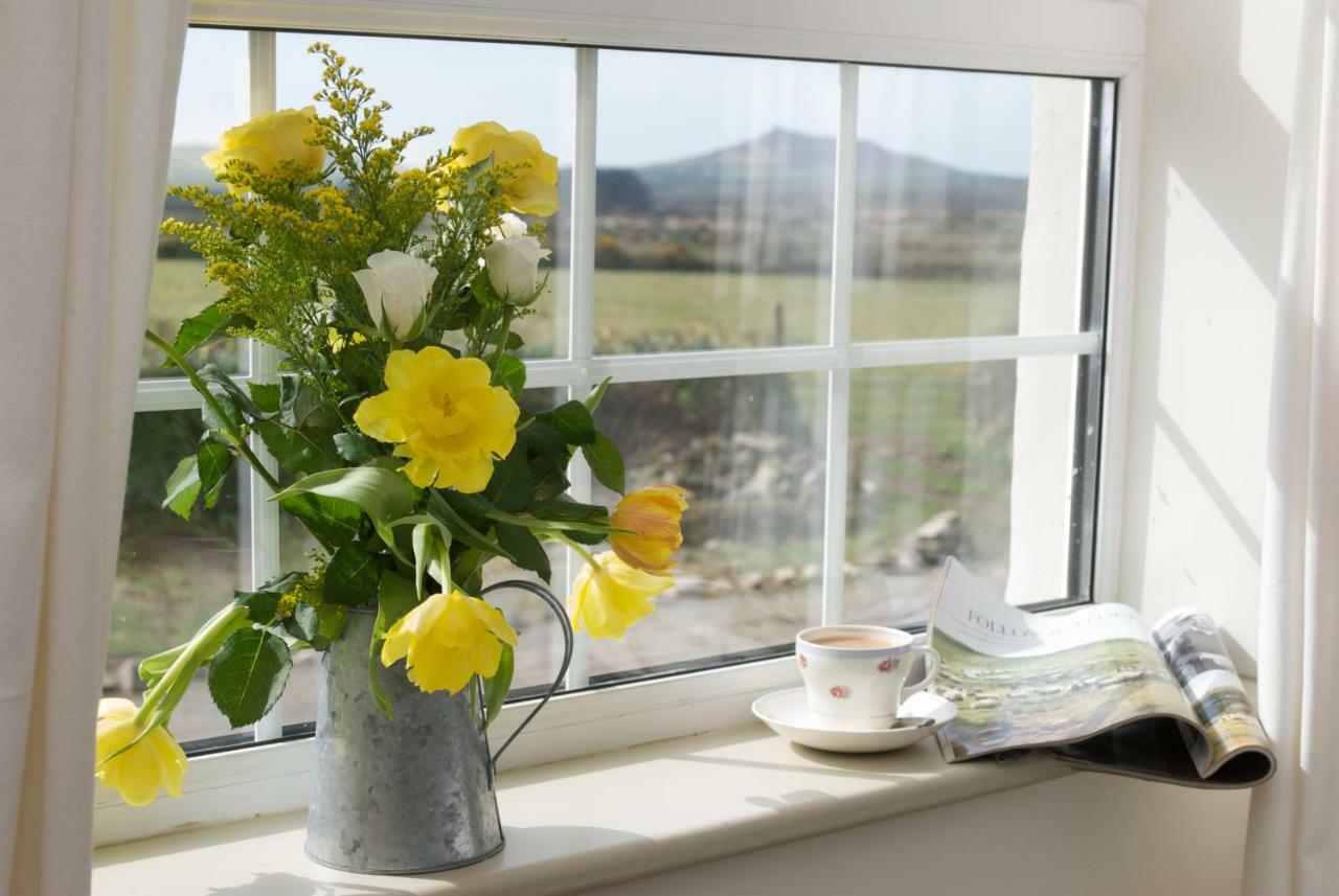 Llety Farm Bed and Breakfast St. Davids  Buitenkant foto