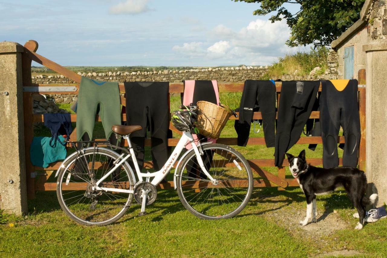 Llety Farm Bed and Breakfast St. Davids  Buitenkant foto