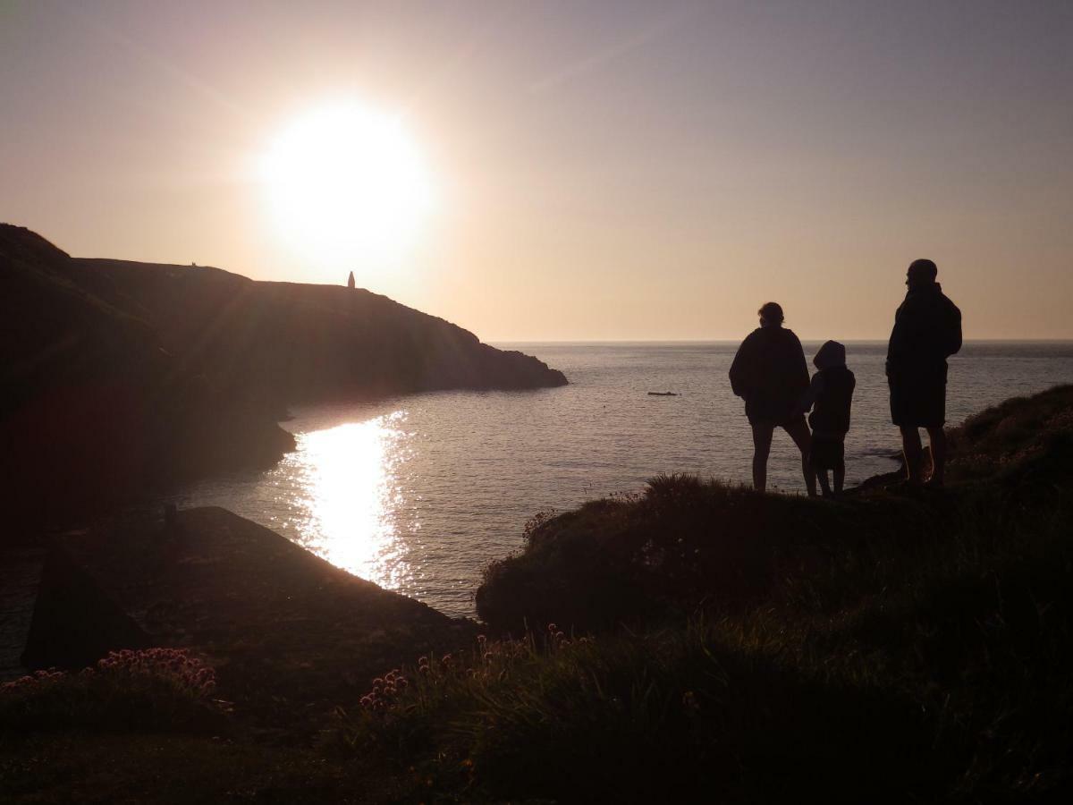 Llety Farm Bed and Breakfast St. Davids  Buitenkant foto