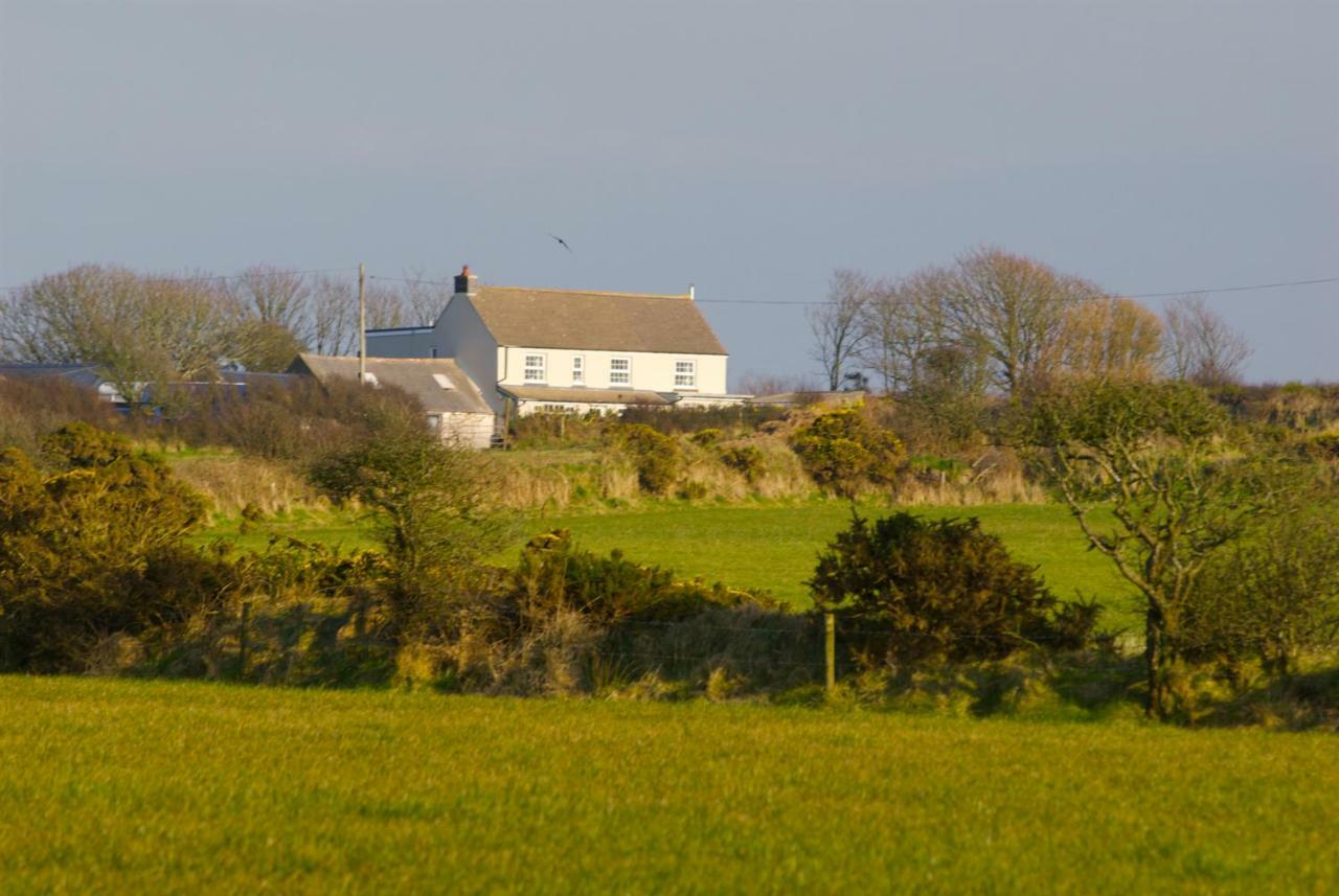 Llety Farm Bed and Breakfast St. Davids  Buitenkant foto